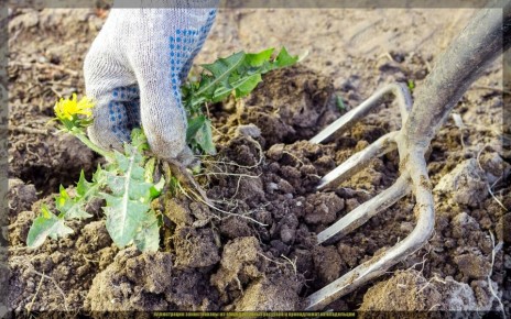 ������� �������������: ������� �������� ������ � ���������