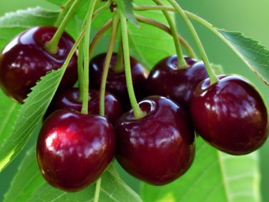 �������� �����, ������� ������� �������� ������ � ������� ������