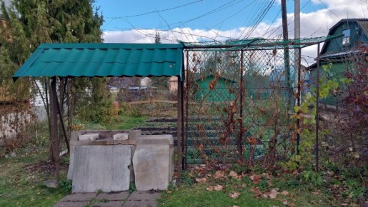 Как правильно подготовить виноград к зиме: простые советы садоводов