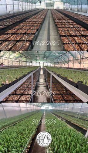 ������� �� ����� ������. ������� ��� ������� ��������, � ����� ��� �������� �����, ���������� � ������� � ����������������� ����� �������������� ����� �������� ����������� � ���������� �����! ������� �� ��������� � �����...