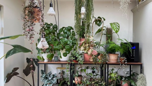 ��������� ��������� ��� ��������� ������: �������� ���� ������� � ������ � ����