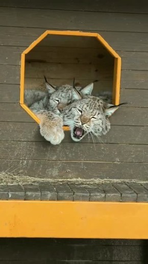 � ������� ���� �������� � ������� ����-�� ������ �� �������