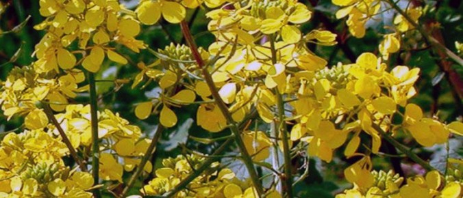 ��� ������ ��������� �������� ����� � ������� ���������