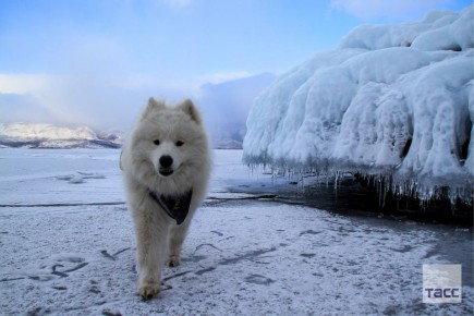 #галерея_ТАСС. Зимний день на Байкале в Иркутской области