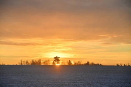 Процессы в космосе все больше захватывают сибиряков