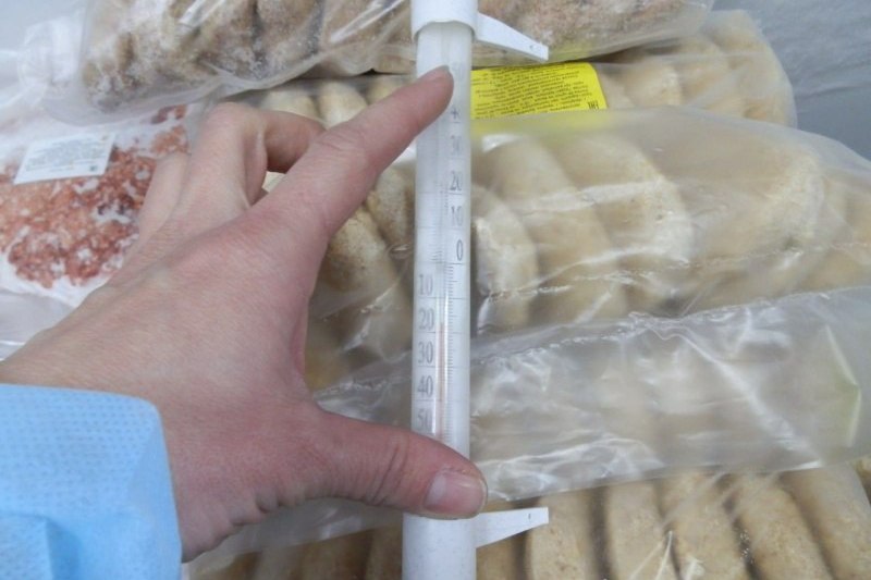 Около 80 нарушений ветеринарного законодательства выявлено в 2025 году в Приангарье