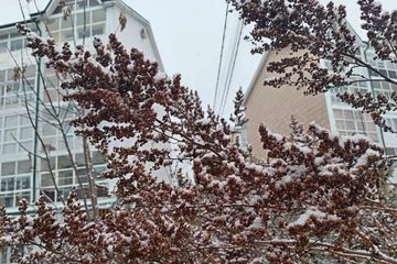 Добре утро, Иркутск!. Начало недели обещает быть тёплым - днем в городе будет -9...-11 градусов