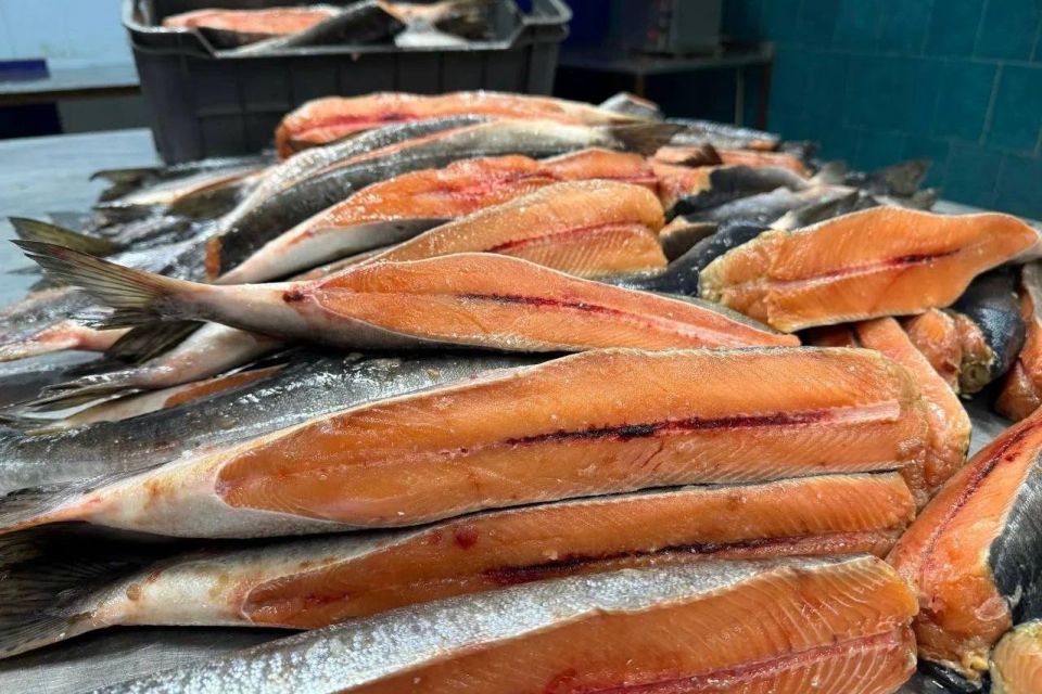 Первую в 2026 году партию рыбной продукции отправили из Приангарья в Китай