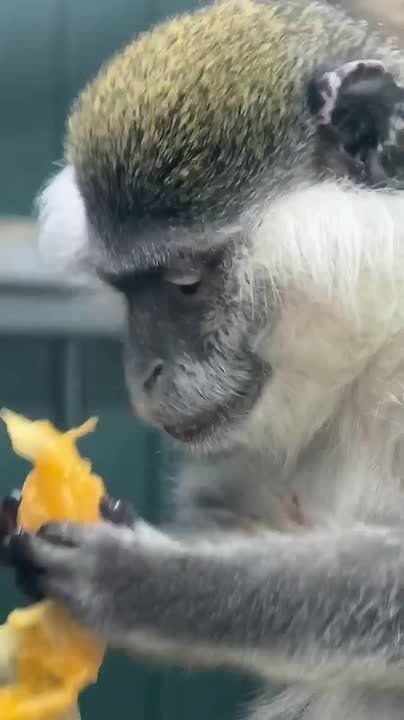 ������ ����, ������. � ������ ������� ���� �������!