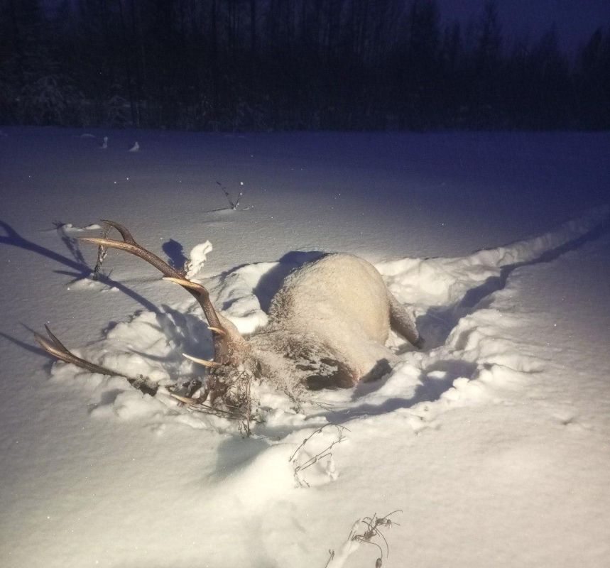 ���� ������������� ������� � ����-�������� ������������� ������