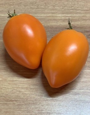 ����� ������� ��������: ��� ��������� ��������� ������