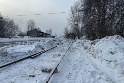 ���� �� ��������� ����� �������� ��������� ��������� 3 ������� � �������