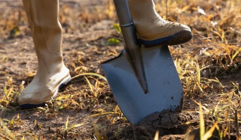 ��� ������ �������� ����� ��� ������: 5 ����������� ������������