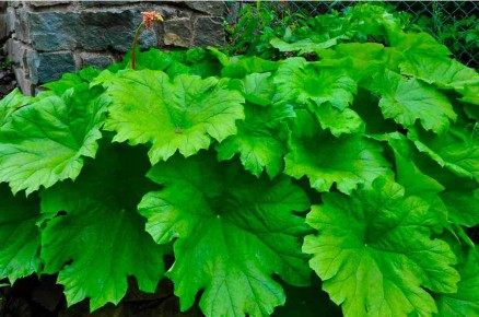 ������������: ������������ ������ ��� �������� ������� ������ ����