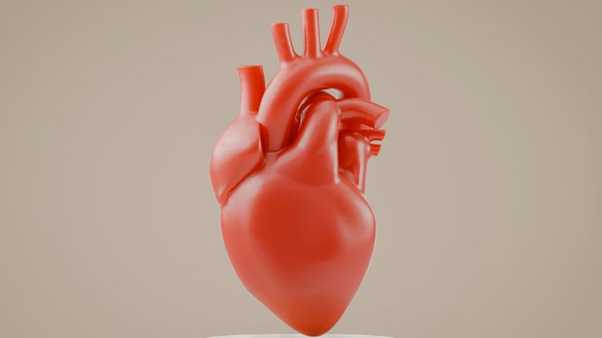 Секреты питания для здоровья сердца