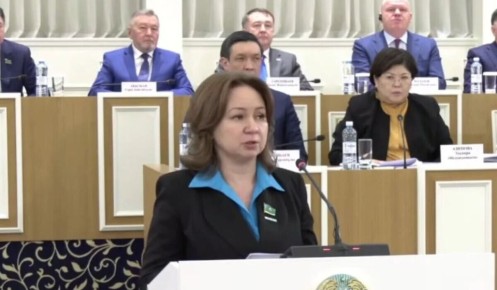 ��������������� ���������: ��� � ����� ������������ ��� �������