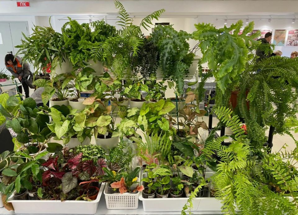 �� �������� ��������� �������� � ������������� ����� ������ ������ �������� ���� ���������� ��������� ���� ���������-��������� ��. �.�. ������� 6 �������