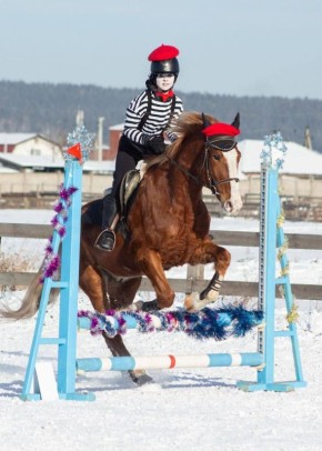 ���������� �������: 2026 ��� ������� ������� �� �������������, ��������, ������� � ������