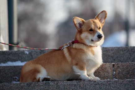 �� ������������ ��������� � ��������� ������� ���������� � 2025 ���� ����������� �� ����� ����� 1 ��� ������