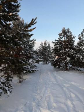 ,. ��������� ��������, ��� �� ������� ������� ��������� ���������� ����������, ��� ������������ �������, ��������� ������� ������� ��������� ����, ����� ���������� ������� �����