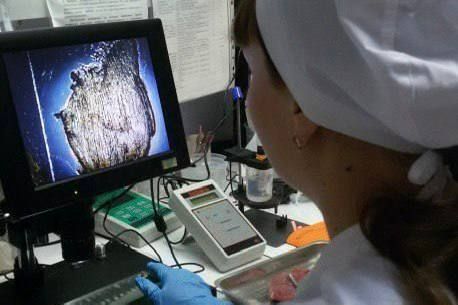 Ветспециалисты Приангарья в 2025 году провели 266 тыс