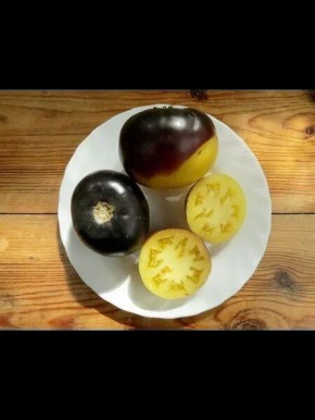 ����� ������� ����� ����: ��������, ������� �������� ��� ������