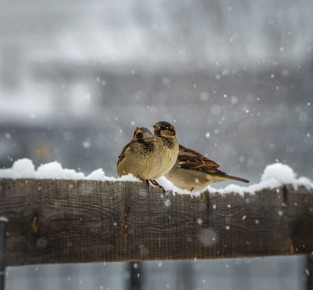 ������ �� ����� �������, � �������� � �����