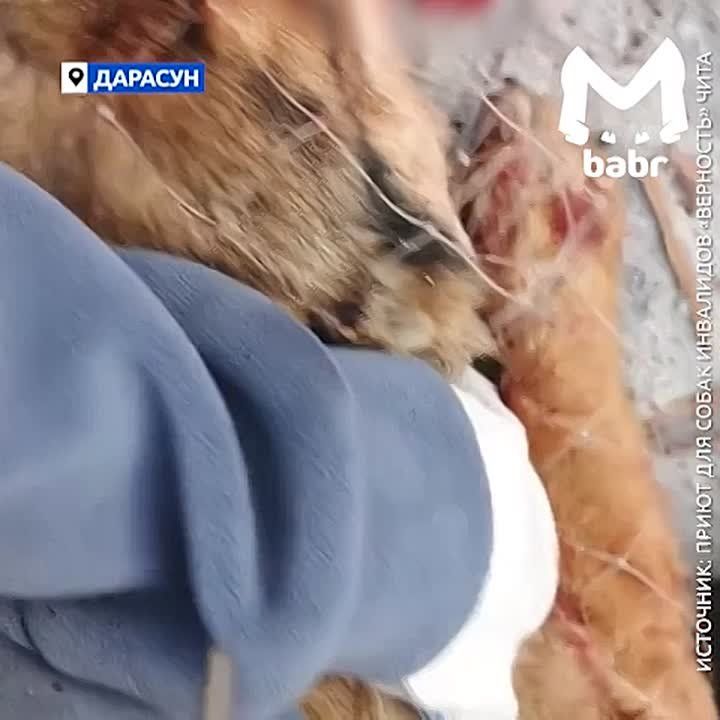 ���� ���������� ������ � ����������