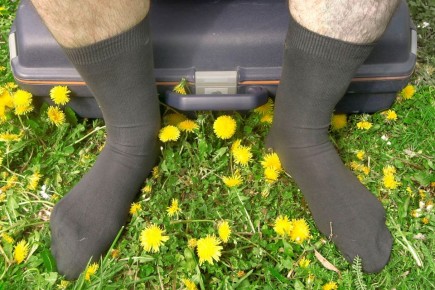 ��������� ������ ��� ������� �����: �������, �� ���������� ������