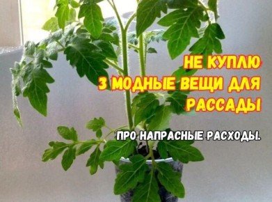 ��� ���������� �� �������: ��� ����, ������� �� �����