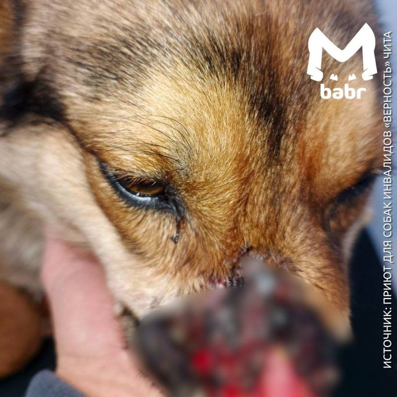 ������� ����� �� ������� ���, �������� ���� ��������� �������� � ����������