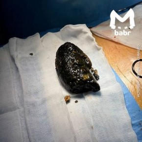 ����� ������ ������ ����-��� �� ��������