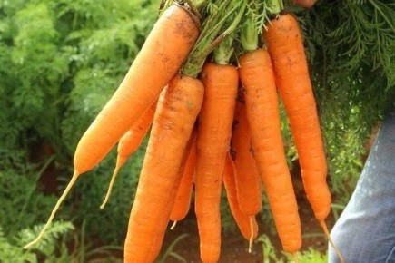 ������� ������: ������� ��������� ����������� ������������ �����