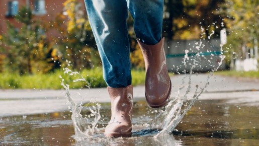 ���� ����� �� ������� ���� � �����: �������� ������� ����� ��������� �����