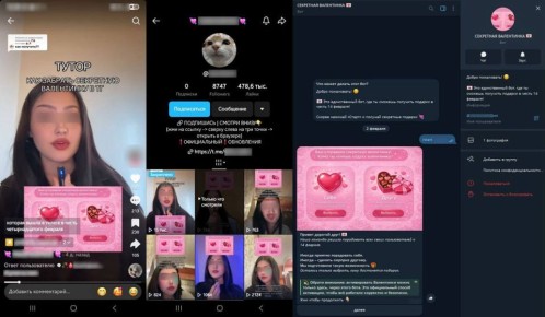 ��������� ����������� ����� � ������������� ������ � 14 �������