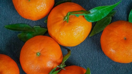 ���� ����� ������ ��������� ������� �� 30 ������: ������ ����� � ������