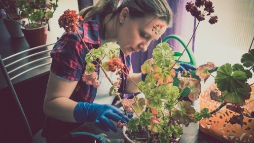 ��� ��������� �������� ��������� ������ � ������� ��� ������� ��������