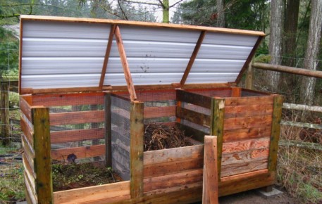 ������� � ����: ��� ����������� ������� � ���� � �������� ���������������� ������