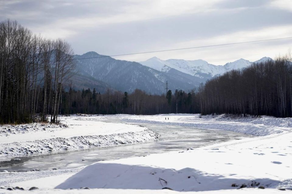 ������������� ������������� ���������� �� �������� ������� ���� �������� � ���