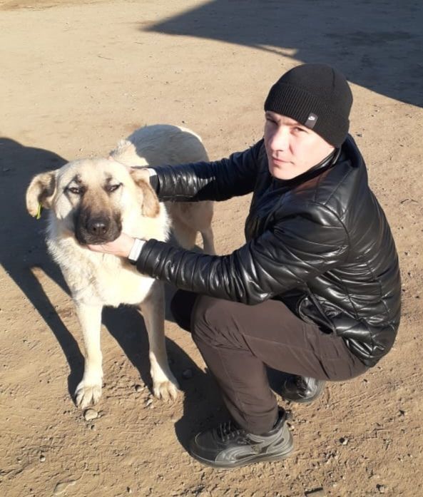 ����� ������� � ���� �� ������, �� ������� �� ���� ��������: 29-������ ������ ���������� �� ������� � ������ �����