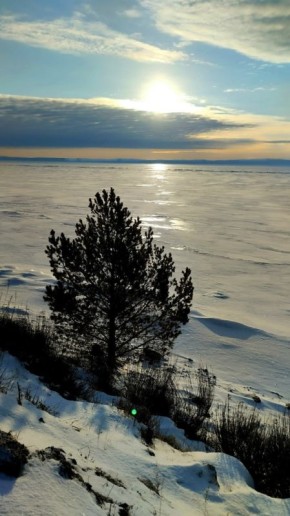 ������� ���������� � �������