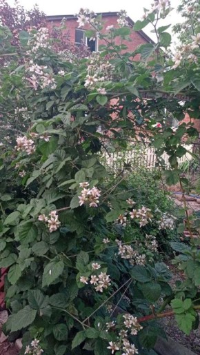 �������� ������ 2024: ��� ������� ������� ��������� ���������� �������