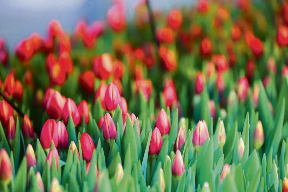 ����� � 8 ����� �����!. � �������� ���������� ������������� �� ����� ����������� ����� ������ ��������, ������, ������� ������� ����� ������������ ���������