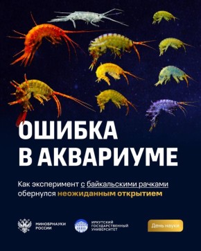 ����������� � ������������ ����������