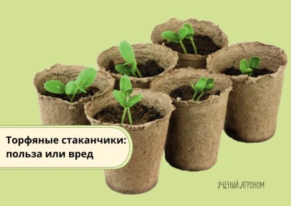 Торфяные стаканчики: разбираемся в их реальной пользе и недостатках