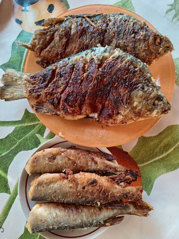 Сочное лето: как флоксы радуют глаз, а рыбалка наполняет душу