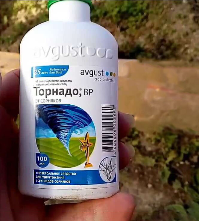 Гармония в саду: могут ли гербициды стать вашими союзниками?