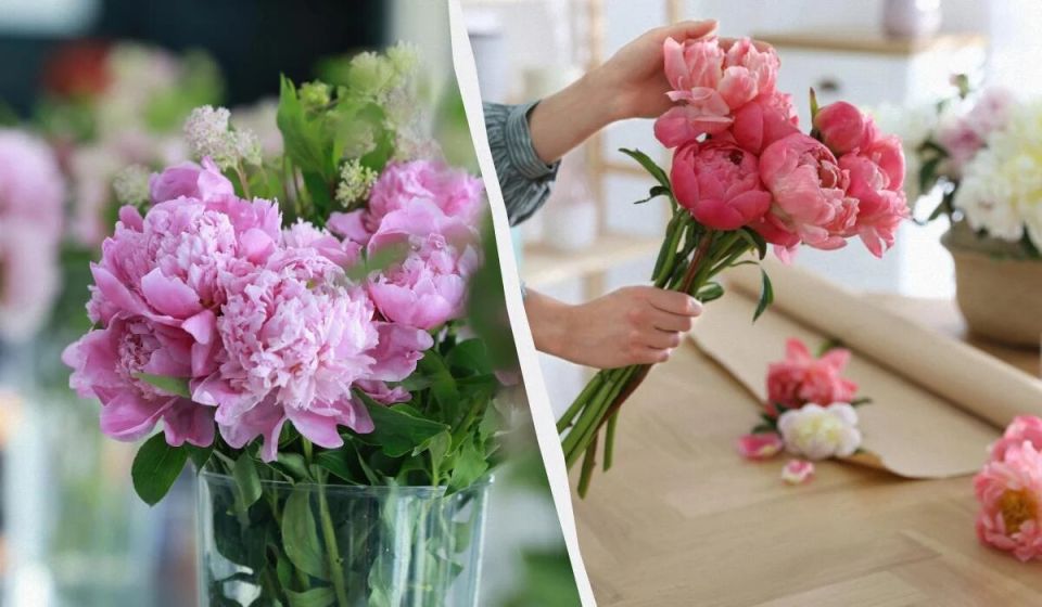 Как продлить жизнь пионов в букете: секреты ухода