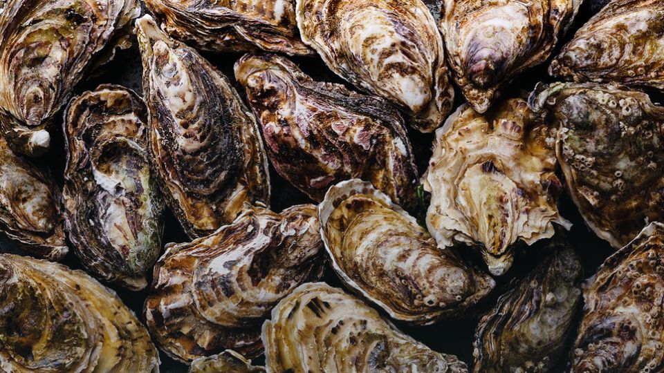 Дальний Восток: Мировые морепродукты, которые стоят дешевле картошки