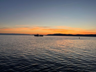 ��� ����� ����������� �������� � �������������� �������� � 2026 ����